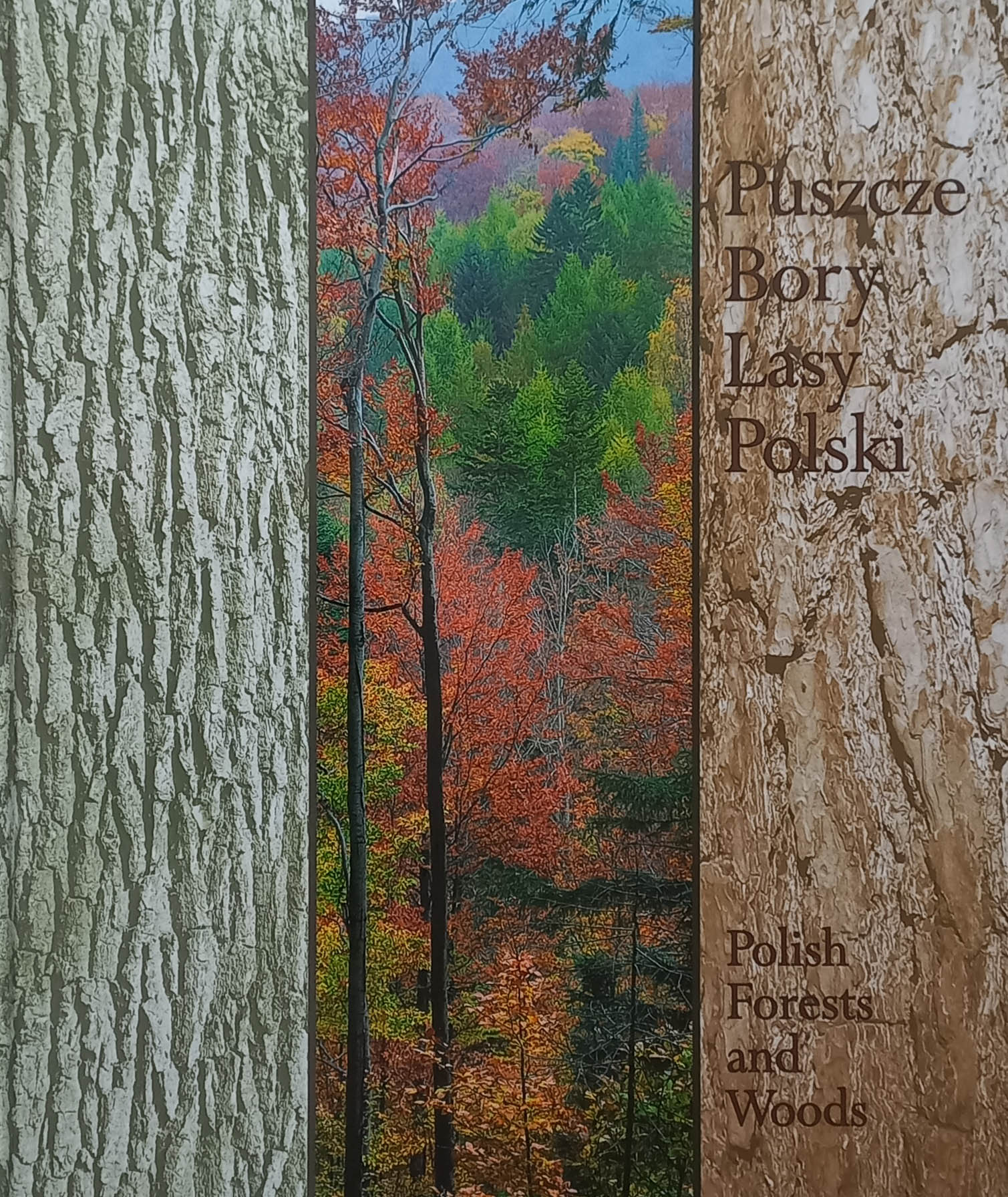 albumpuszczeborylady.jpg