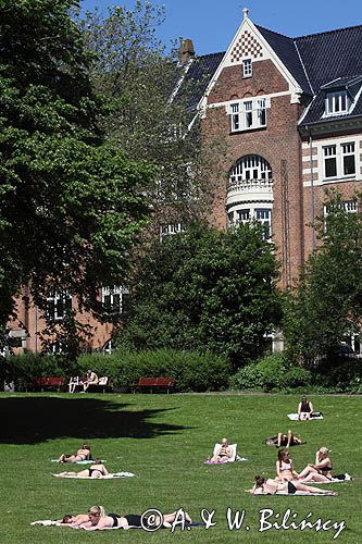 Lato w Aarhus, Arhus, Jutlandia, Dania