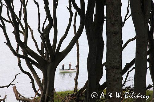 Wyspa Aebelo, buki i wędkarze, Dania