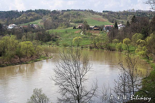 Babice nad Sanem, Podkarpacie