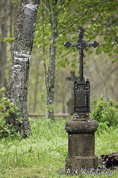 Beniowa, stary cmentarz, cerkwisko, Bieszczady