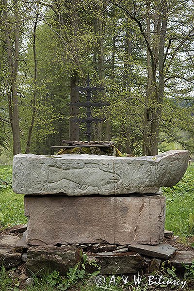 Beniowa, cerkwisko, ołtarz z rybą, Bieszczady