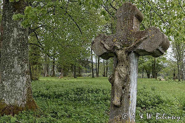 Beniowa, stary cmentarz, cerkwisko, Bieszczady