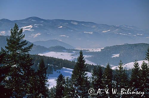 Beskid Sądecki, zima, widok znad Wierchomli Małej