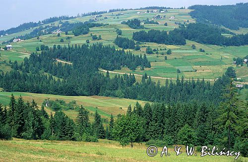 Beskid Śląski Kliszówka