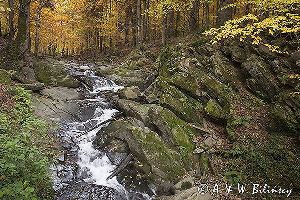 Wodospad na potoku Hylatym, Szepit, Bieszczady