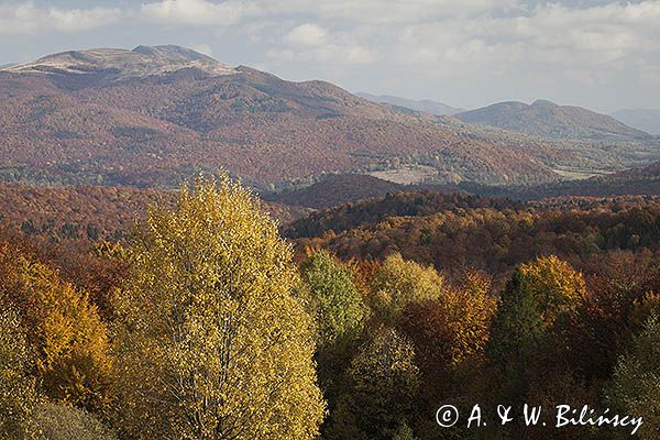 Jesień z widokiem na Tarnicę, Bieszczady