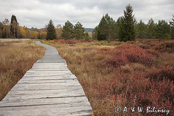 Torfowisko Tarnawa, Bieszczady, Bieszczadzki Park Narodowy