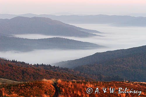 Na Bukowym Berdzie, Bieszczady