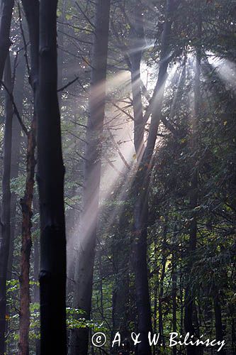 promienie słońca, Bieszczady