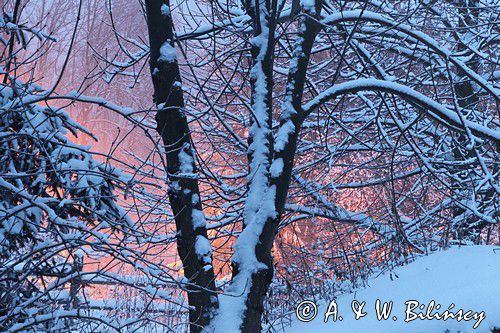 wieczorny pejzaż, Bieszczady