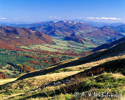 Bieszczady, widok z Tarnicy na stronę ukraińską, w głębi Pikuj