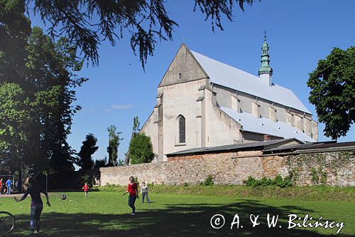 Bodzentyn, kościół