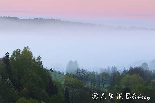 Bystre, mgły o wschodzie słońca, Bieszczady