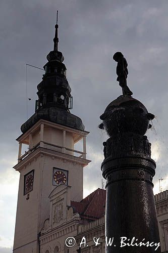 Bytom Odrzański, Rynek, ratusz, fontanna kolumnowa z końca XIX w