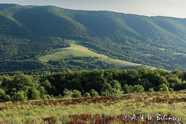 Połonina Caryńska i w tle Mała Rawka