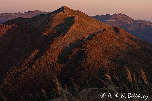 Połonina Caryńska i Tarnica. Widok z Połoniny Wetlińskiej, Bieszczady