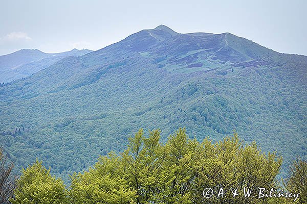 Połoniny Caryńska i Wetlińska widziane ze szlaku na Szeroki Wierch, Bieszczady