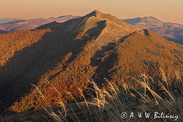Połonina Caryńska, w tle Tarnica, Bieszczady