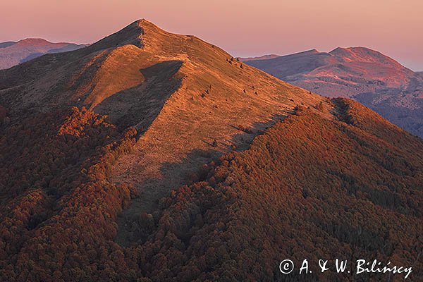 Połonina Caryńska, w tle Tarnica, Bieszczady