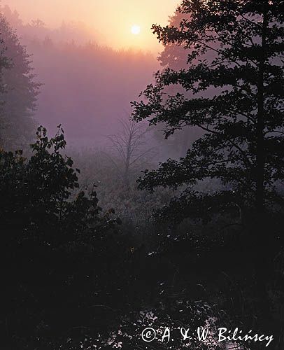 rzeka Czarna Hańcza, świt nad rzeką