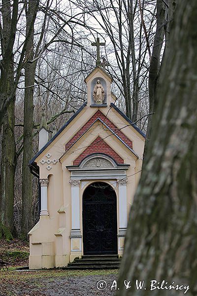 Dąbrówka Starzeńska, zespół parkowo pałacowy, kaplica grobowa Starzeńskich