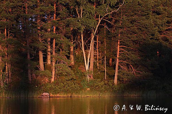 W Forsvik, Kanał Gota, Szwecja
