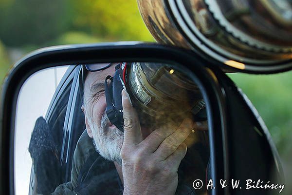 Fotograf przyrody, czatowanie, fotografowanie z samochodu, samochód jako czatownia