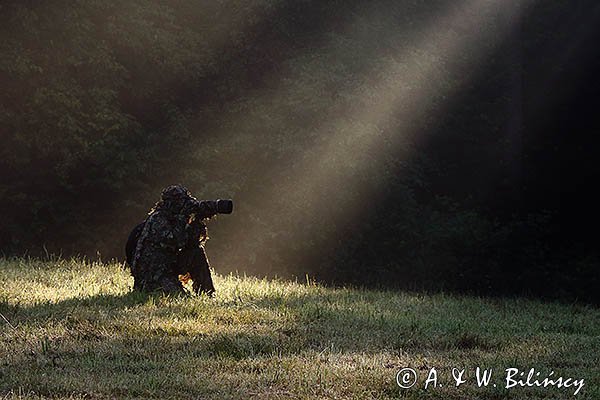 W smudze Słońca, fotograf przyrody, czatowanie, kamuflaż, strój maskujący 3D