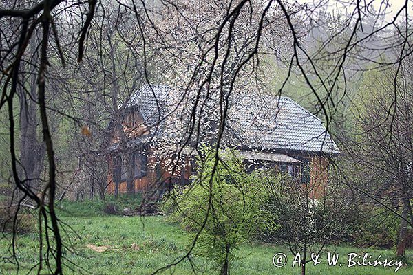 Dom w Kąkolówce, Pogórze Dynowskie