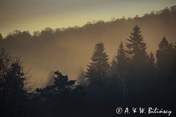 W porannej mgle, jesień, Góry Słonne