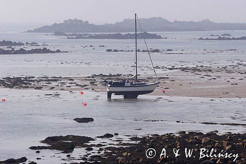 odpływ na wyspie Herm, Channel Islands, Anglia, Wyspy Normandzkie, Kanał La Manche