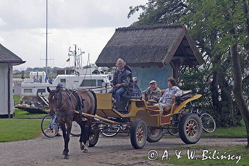 bryczka, wyspa Hiddensee, Mecklenburg-Vorpommern, Bałtyk, Niemcy