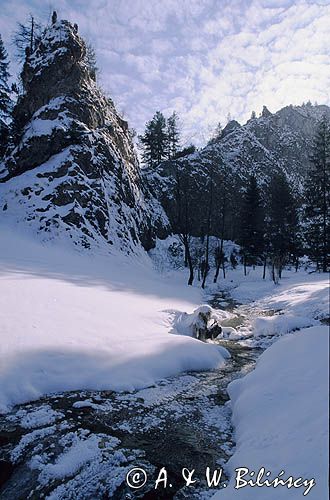Małe Pieniny rezerwat Wąwóz Homole