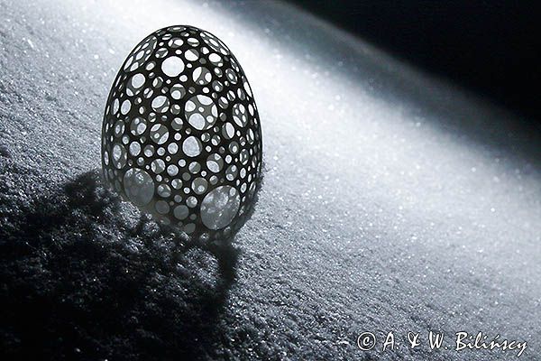 Jajko gęsie, dziurkowane, pisanka, praca Leszka Kłysewicza