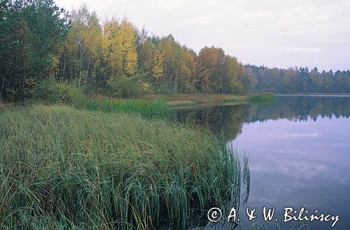 Jezioro Czarnówek, Drawski Park Krajobrazowy
