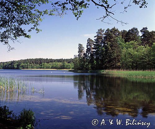 Jez. Ostrowieckie, Drawieński Park Narodowy
