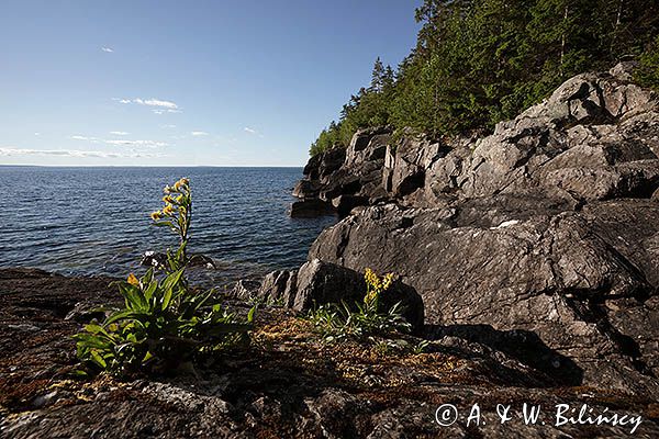 jezioro Vattern, Weter u stóp góry Omberg, Szwecja