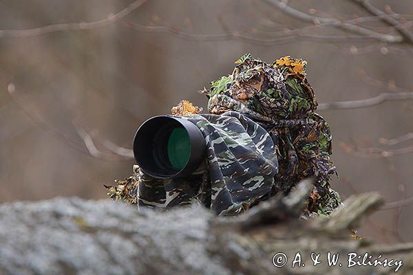 Fotograf przyrody, czatowanie, kamuflaż, strój maskujący