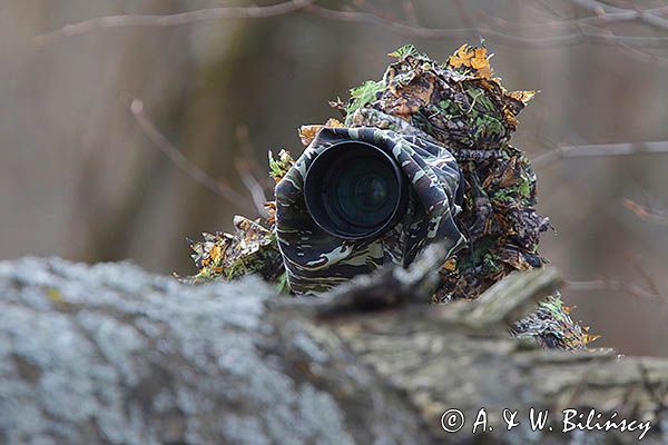 Fotograf przyrody, czatowanie, kamuflaż, strój maskujący