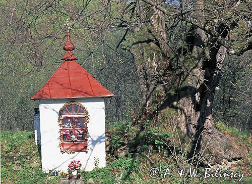 kapliczka przydrożna, Kiełczawa, Bieszczady
