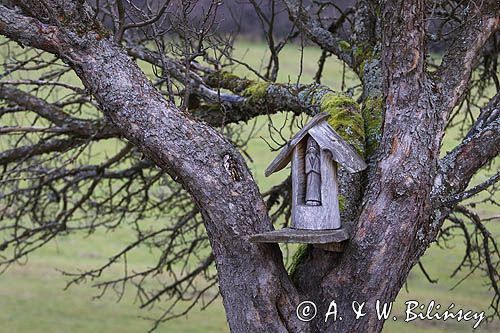 kapliczka na Rosolinie, Bieszczady