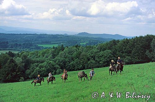 na hucułach w Bieszczadach