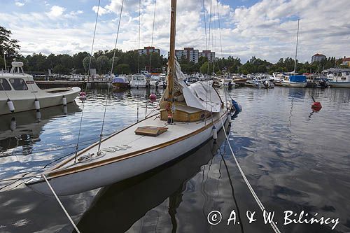 Szydło szkierowe w porcie Kotka, Zatoka Fińska, Finlandia