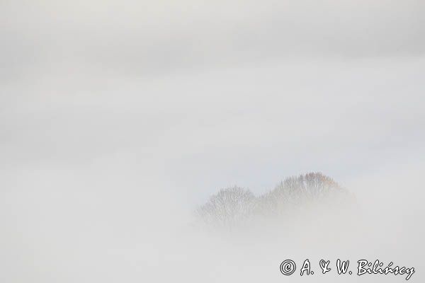 Park Krajobrazowy Doliny Sanu, Bieszczady