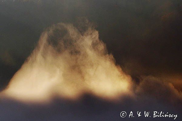 Poranna mgła, Park Krajobrazowy Doliny Sanu, Bieszczady
