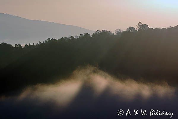 Poranna mgła, Park Krajobrazowy Doliny Sanu, Bieszczady