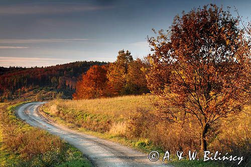 widok ze wzgórza Krzywe Dział, gmina Dydnia, Pogórze Dynowskie