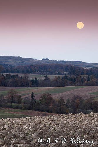 widok ze wzgórza Krzywe Dział, gmina Dydnia, Pogórze Dynowskie