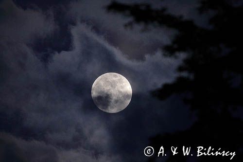 księżyc w chmurach